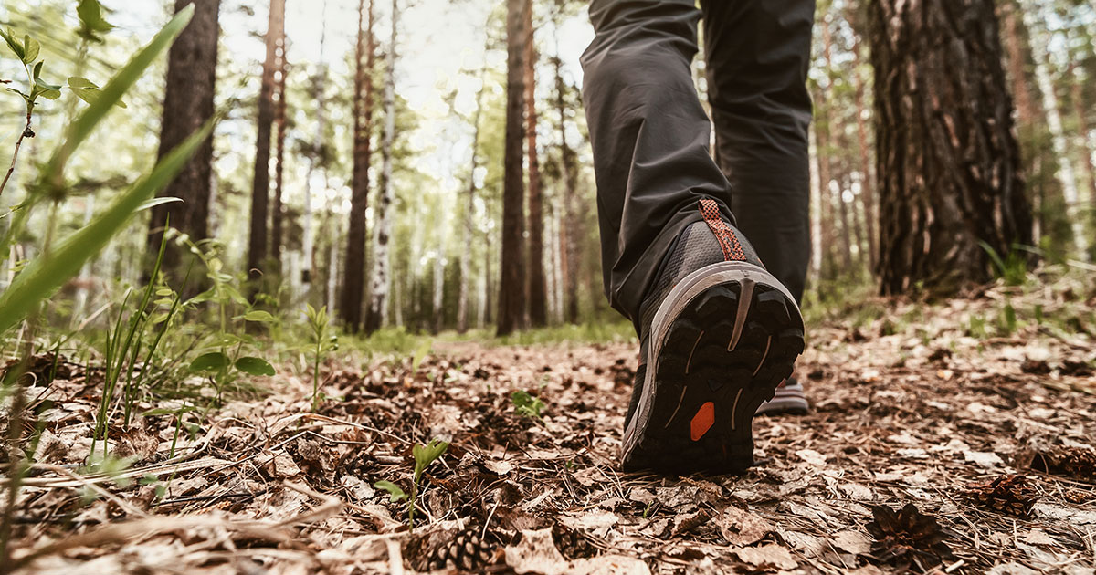 Bear Grylls on Christianity: Jesus ‘Changed Me from the Inside Out’